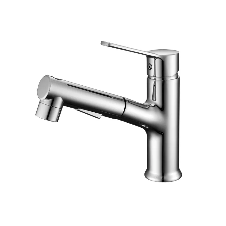 Pull-out Basin Faucet Sprayer