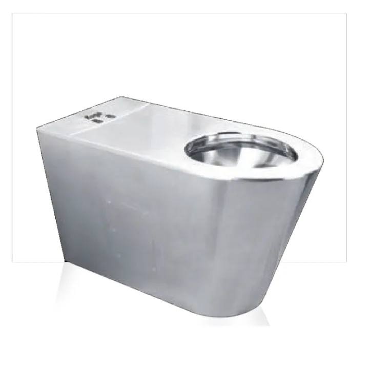 316 Stainless Steel Wall-hung Toilet for the disabled